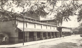 [Mercado Municipal de Campinas]