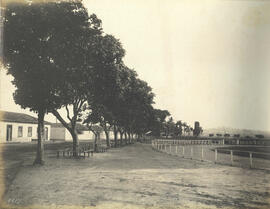 Posto Zootechnico Central “Dr. Carlos Botelho”