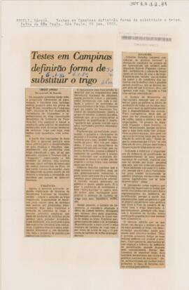 Testes em Campinas definirão forma de substituir o trigo