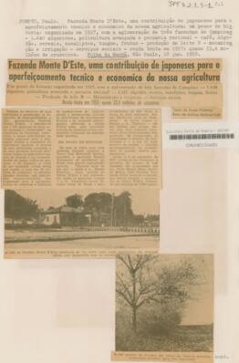 Fazenda Monte D’Este, uma contribuição de japoneses para o aperfeiçoamento tecnico e economico da...