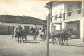 [Fazenda Chapadão]