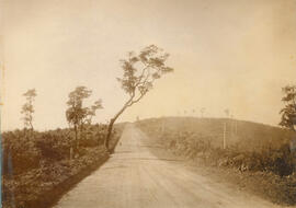 Estrada de Rodagem São Paulo a Campinas