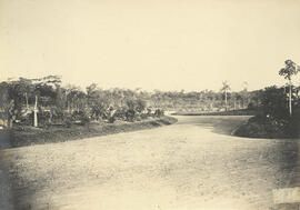 Parque da Esc Agricola de Piracicaba