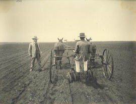 Cultivador de disco