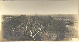 Panorama de Fazenda em Dourado