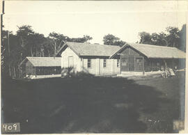 Escola Agrícola de Piracicaba – abelhas