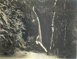 Cascata do Toucinho na Cantareira