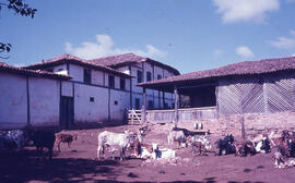 Fazenda São Lourenço