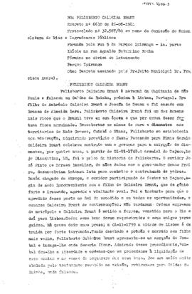 Rua Felisberto Caldeira Brant