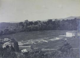 Casa e Terreiros na fazenda do Dr. Abelardo em São João da Bôa Vista