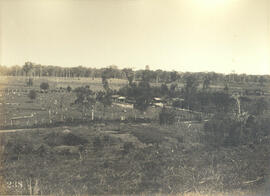 [Núcleo Colonial] Campos Salles
