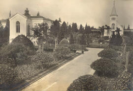 Hospital do Guapira (Morpheticos)