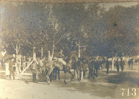 Cavallo de corrida no Prado da Moóca