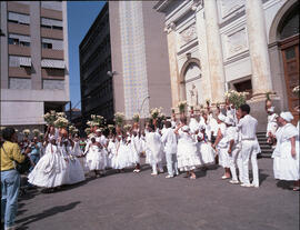 [Lavagem das escadarias da Catedral Metropolitana Nossa Senhora da Conceição]