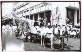 [Desfile de 1º de maio – Colégio Bandeirantes]