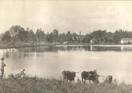 Fazenda Campo Alto