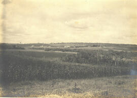 Vista geral do campo e das cocheiras em Nova Odessa