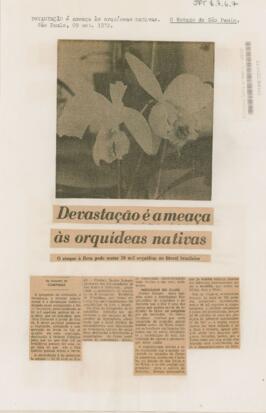 Devastação é a ameaça às orquídeas nativas