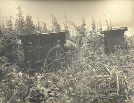 [Fazenda Modelo de Piracicaba – Colheita de Milho]