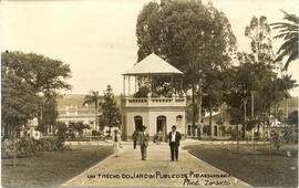 Um trecho do Jardim Público de Pirassununga