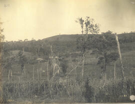 Vista de um lote – Corumbatahy