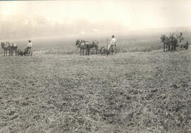 Fazenda Campo Alto