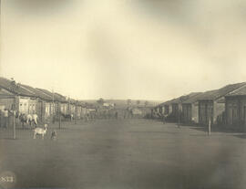 Casas de colono em uma fazenda