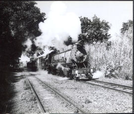 [Trem]