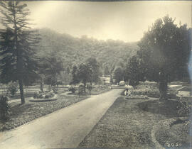 Vista do parque da Cantareira