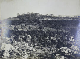 Fazenda de Coriolano de Lima em Vargem Grande