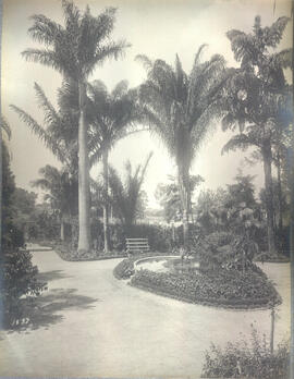 Patio de entrada do Instituto