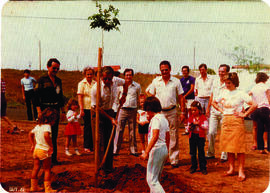 Mokarzel plantando árvores