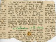 D. Marcolina Vaz de Melo Castanho