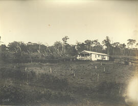 Nucleo [Colonial] Gavião Peixoto – Habitação de colono